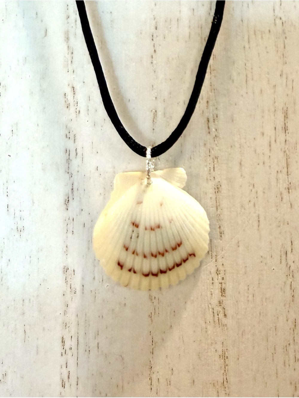 109. Reversible Sea Turtle Scallop Shell Necklace with turquoise sea glass - Picture 2 of 2